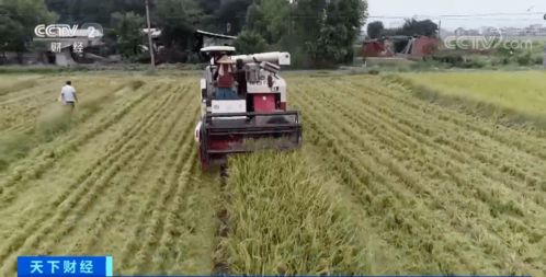 農(nóng)業(yè)培育新進(jìn)展 科技賦能未來農(nóng)業(yè)