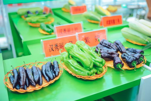 3000余種農(nóng)作物亮相武漢種博會(huì)，端午假期邀市民共赴農(nóng)業(yè)盛宴