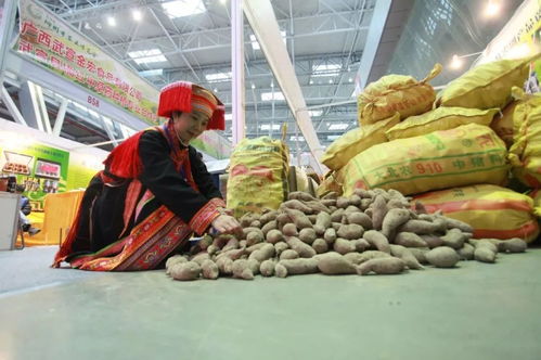 2019柳州農博會 萬種珍品薈萃，盡顯現代農業風采