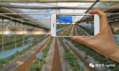 江蘇省數字農業農村工作要點發布，農業培育迎來新機遇