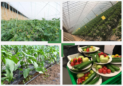 智能科技賦能，百譽農業引領園區現代化新篇章