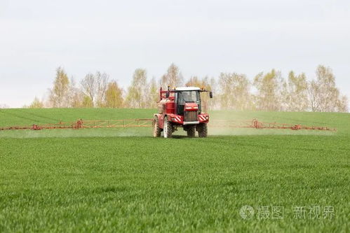 春風化雨亦成災 春季大風天氣下的農業種植與培育要點
